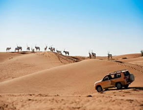 迪拜阿玛哈豪华精选沙漠度假酒店